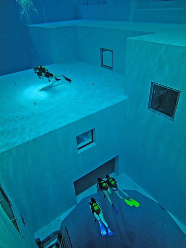 Professionnels plongeurs à NEMO33